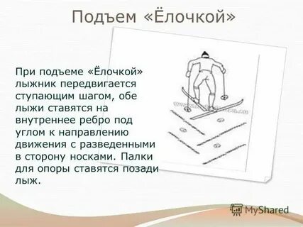 Общий подъем организации это