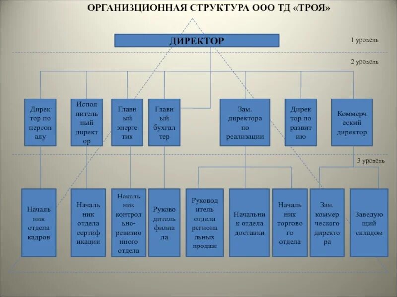 Руководители первого уровня. Структура ООО Альянс. Организационная структура ООО "ТД Скайлайн". Организационная структура в ООО «клинок».. Структура ООО где один директор.