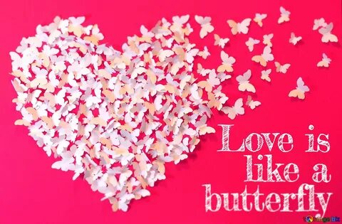 Love is flower