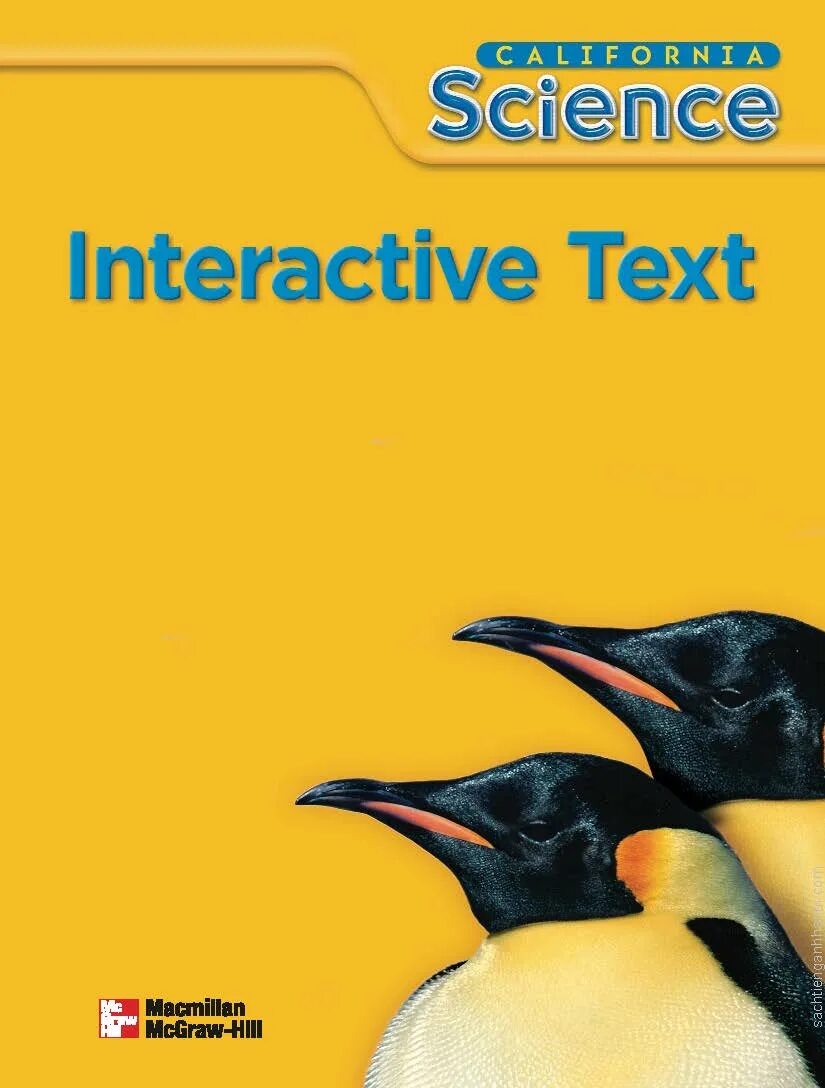 Interactive text
