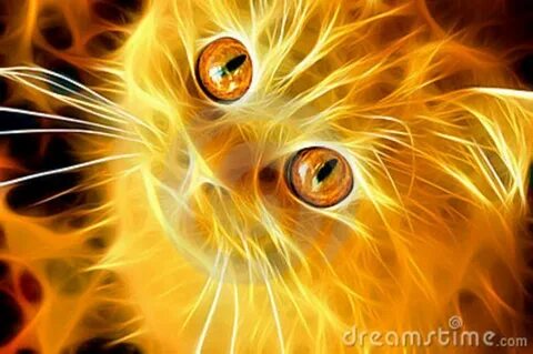 Огненный кот