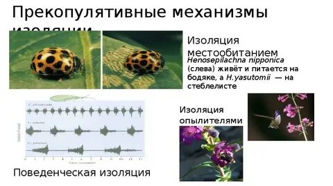 Механическая изоляция