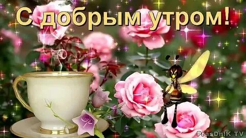 Видео пожелание с добрым утром музыкальные