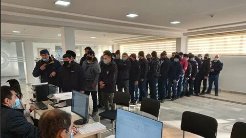 Завоз мигрантов