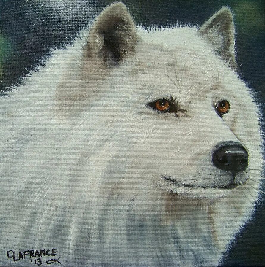 детектив белый волк. белый волк монгольский. невеста белого волка. ослепший волк. театр белого волка.