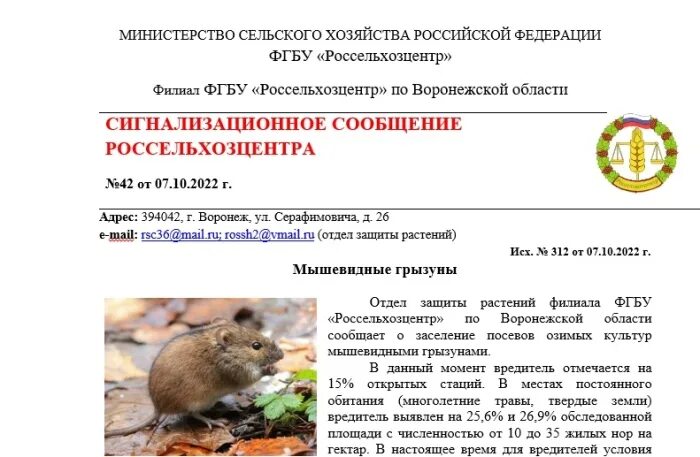 ФГБУ Россельхозцентр по Воронежской области. Мышевидные Грызуны являются промежуточным хозяином для. Отдел защиты растений. Россельхозцентр презентация.