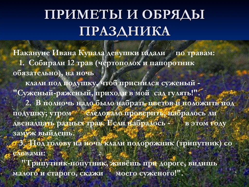 Что делают на ивана купала. Приметы на Ивана Купала. День Ивана Купала приметы. Приметы и поверья. Приметы на Ивана Купала на приметы.