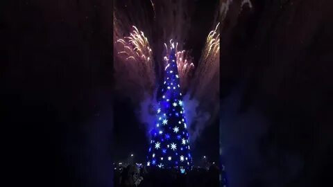 Елка в дербенте