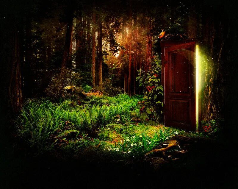 Открытая дверь в сказку. Дверь в сказочный лес. Дверь в лесу. Таинственная дверь. Волшебная дверь.
