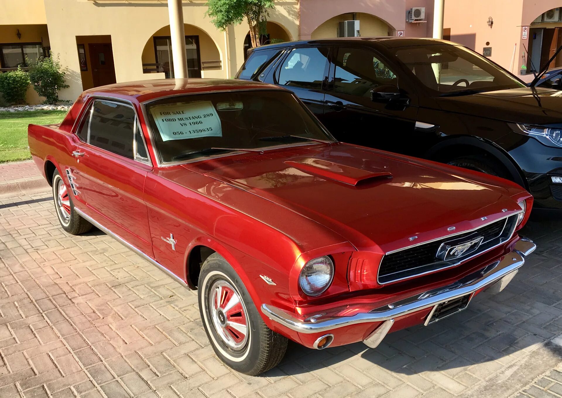 Ford mustang coupe 1966. Мустанг 1966. Форд мустанг 1966 кабриолет. Ford mustang mustero 1966. Ford mustang coupe 1966.