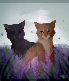 Грач и листвичка коты
