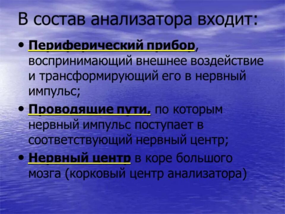 В состав анализатора входят ответ