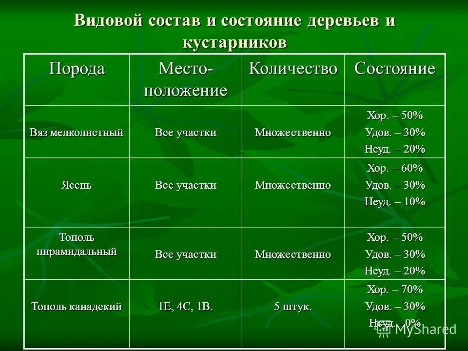 В какой растительной зоне коэффициент. Видовой состав. Видовой состав растений. Видовой состав леса. Породный состав деревьев.