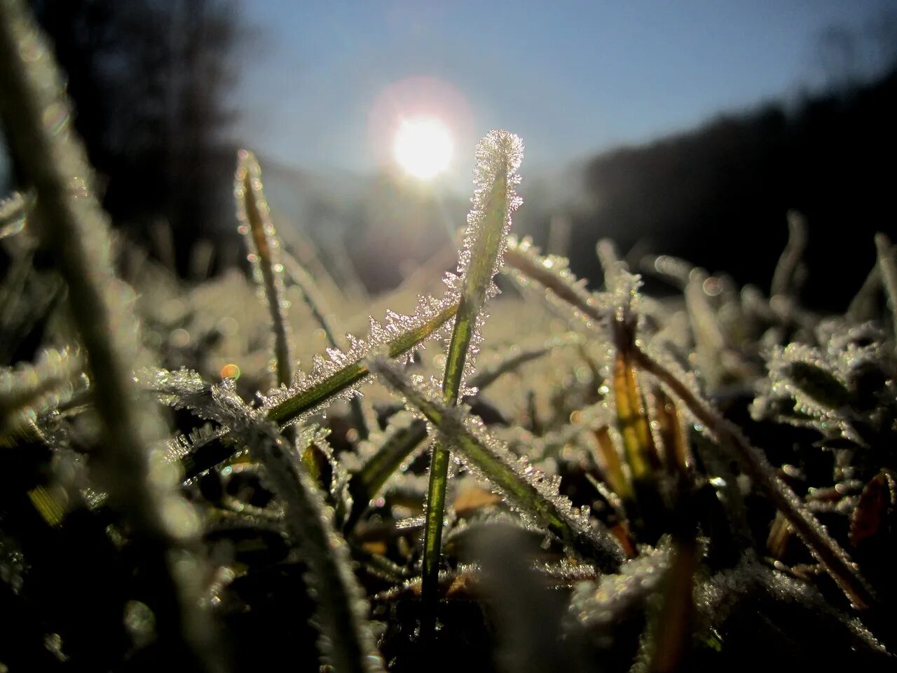 Find cold