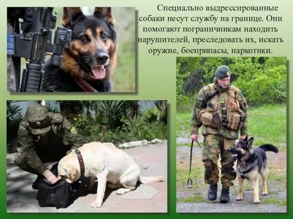 Защитить третий