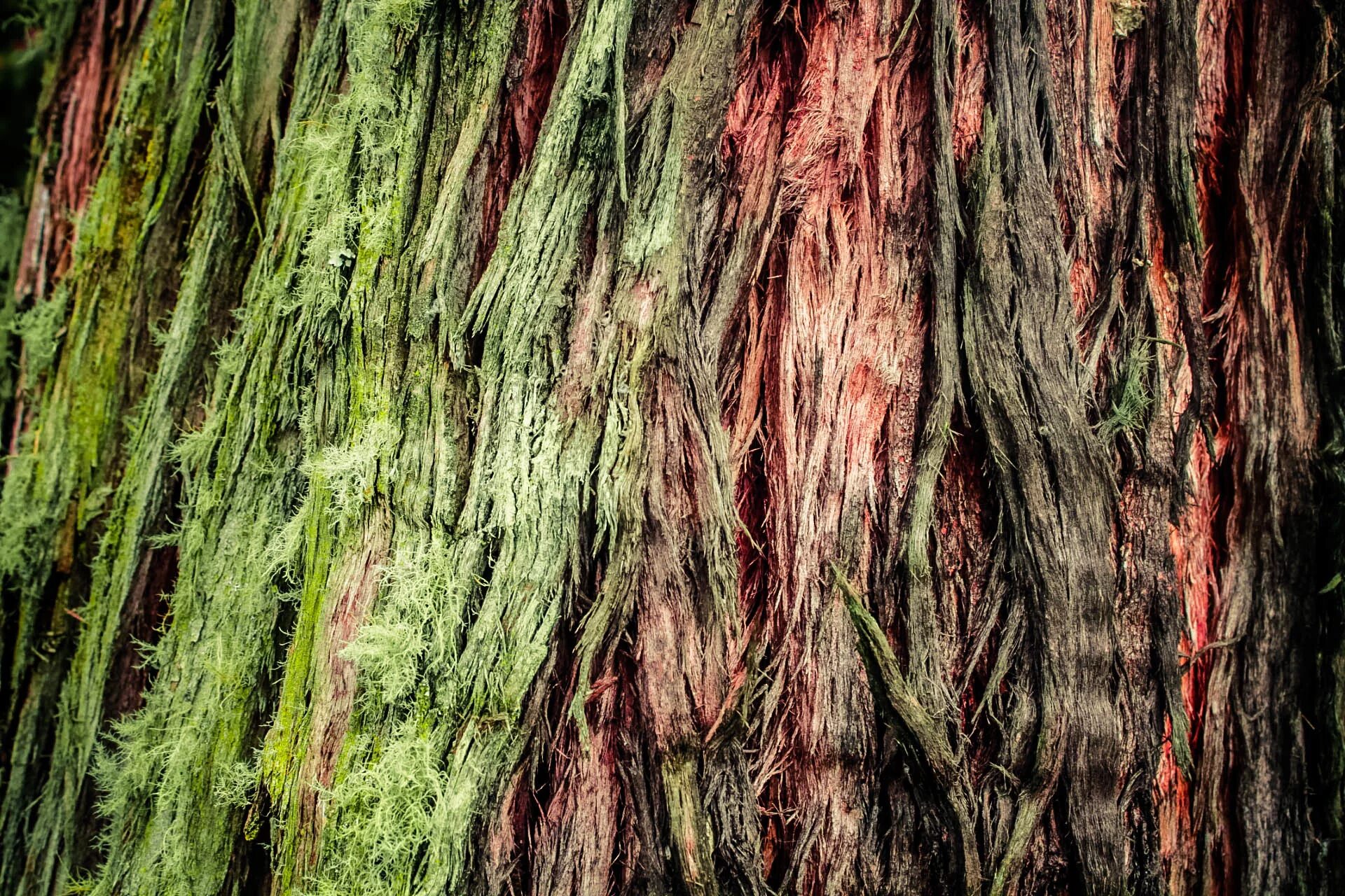 Texture based
