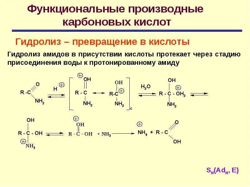 Гидролиз амидов карбоновых кислот. Амиды карбоновых кислот гидролиз. Гидролиз нитрилов карбоновых кислот. Дегидрирование карбоновых кислот реакция.