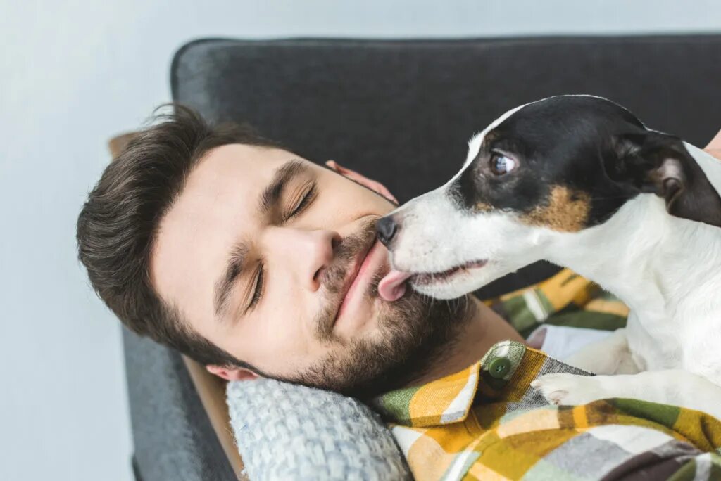 Собака облизывает мужчину. Собака облизала коленку. Puppy lick. Dog licks man. Хозяин и животное.