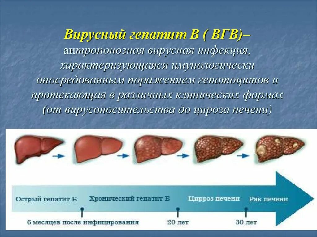 Вирусный гепатит в антропонозная. Источник инфекции при вирусном гепатите а. Источник инфекции при гепатите в. Источник ВГВ.