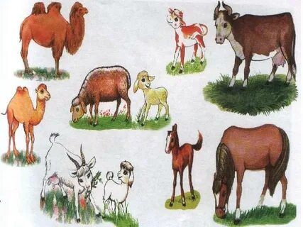 Порнографиялық көркем фильмдерді онлайн көру