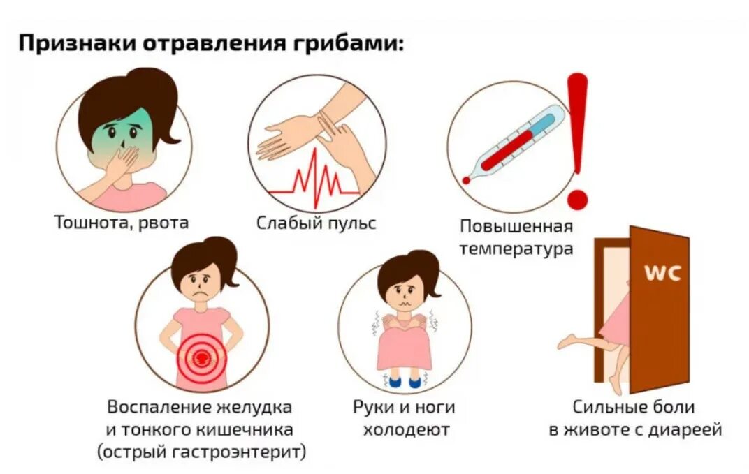 Сильно тошнит но не рвет. Признаки отравления. Отравление грибами симптомы. Отравилась симптомы. Первые симптомы при отравлении.