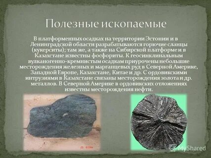 Фосфорит сланцы