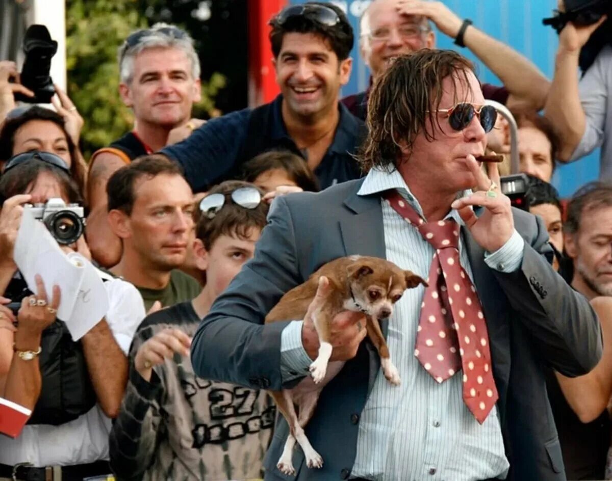 Собака под мышку. Собака крыса. Собака под мышку. Собака под мышку. Собака под мышку.