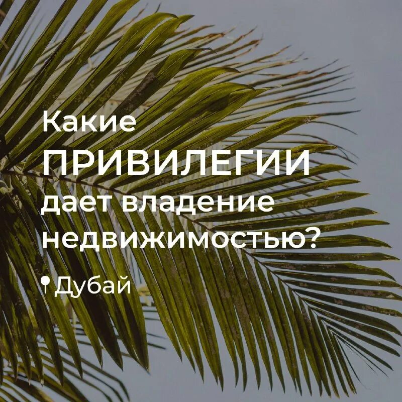 Гто при поступлении в вуз. Системные привилегии. Обязанности депутатов и сенаторов. Волантёрсто какие превилегии даёт. Членство в профсоюзной организации.