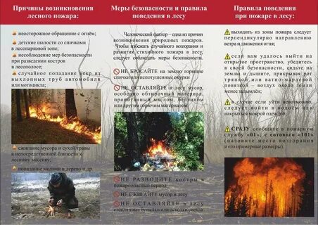 Пожарная безопасность в природной среде обзор