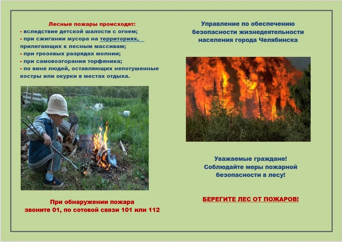 Правила пожарной безопасности в лесу. Правила пожарной безопасности в лесу. Правило безопасности с огнём в лесу. Пожарная безопасность в лесу. Пожарная безопастность.