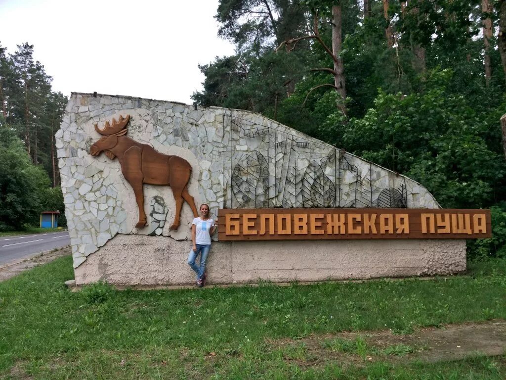 Беловежская пуща территория. Белоруссия Беловежская пуща. Национальный парк Беловежская пуща достопримечательности. Беловежская пуща заповедник.