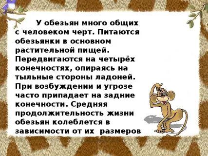 Изложение люлька