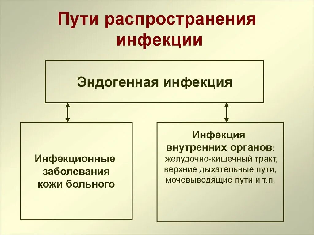 Таблица по простейшим паразитам 7 класс - TouristMaps.ru