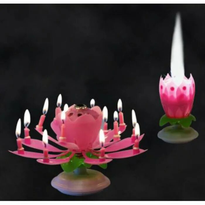 необычные свечи для торта. музыкальная свеча для торта цветок. аленький цветочек свечи. свеча музыкальная "цветок". свеча музыкальная распускающийся лотос.