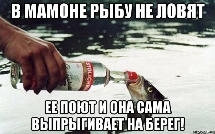 Рыба меем. Рыбка прикол. Рыбы красивое мем. Рыба капля из мультика. Мемы с рыбами.