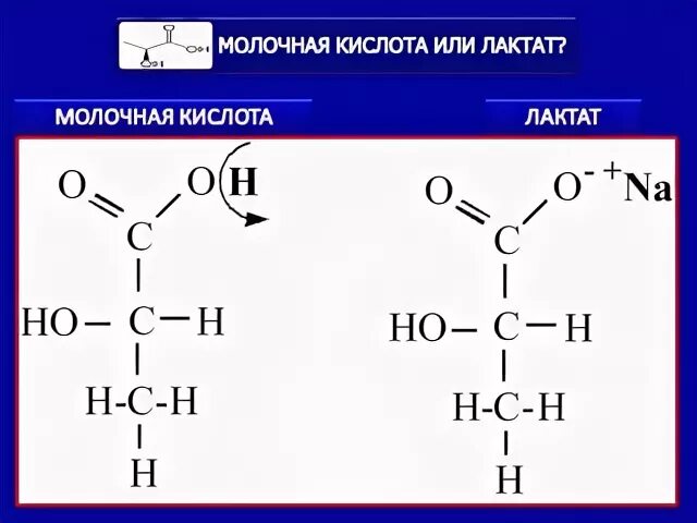 Образование молочной кислоты. Лактат молочной кислоты. плотность молочной кислоты. производные молочной кислоты. димеризация молочной кислоты.