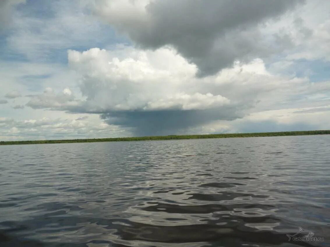 Погода в нижне кубенском. Погода в нижне кубенском
