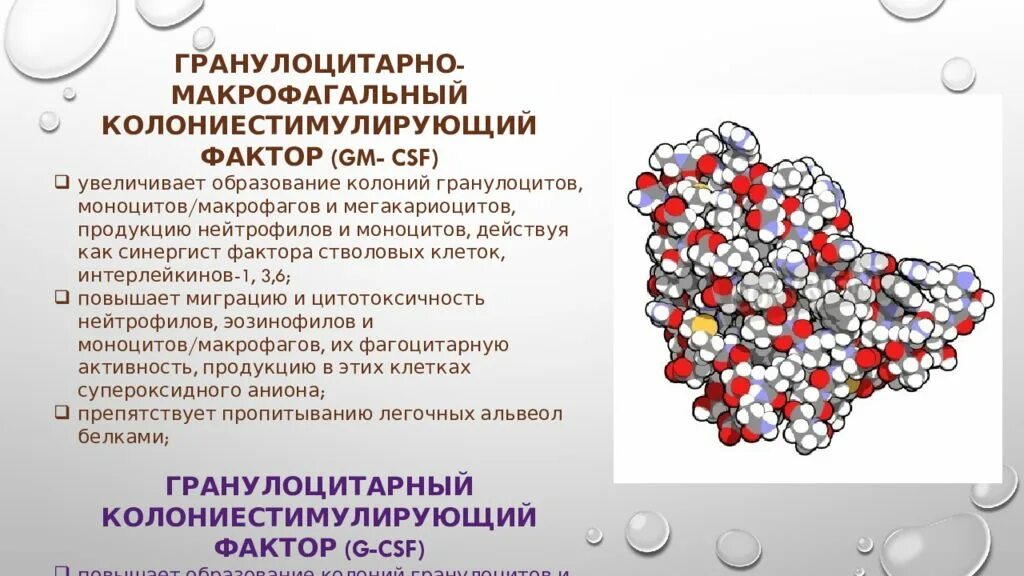 Колониестимулирующие факторы. Гранулоцитарные колониестимулирующие факторы. Колониестимулирующие факторы и факторы роста.. Колониестимулирующие факторы (КСФ). Гранулоцидный концентрат хранится