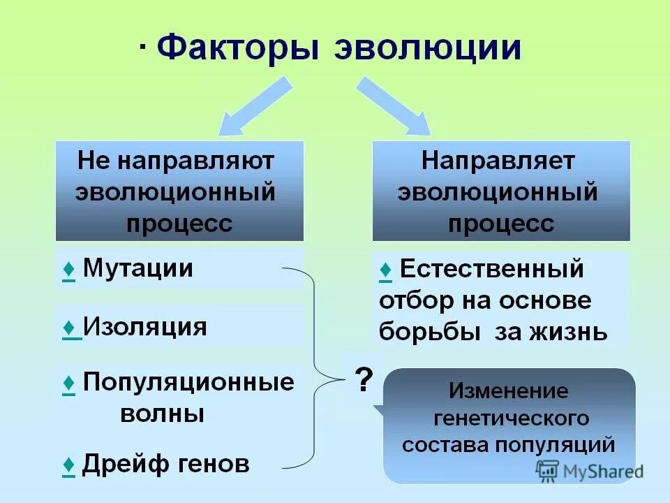 Мутации приводят к изменениям