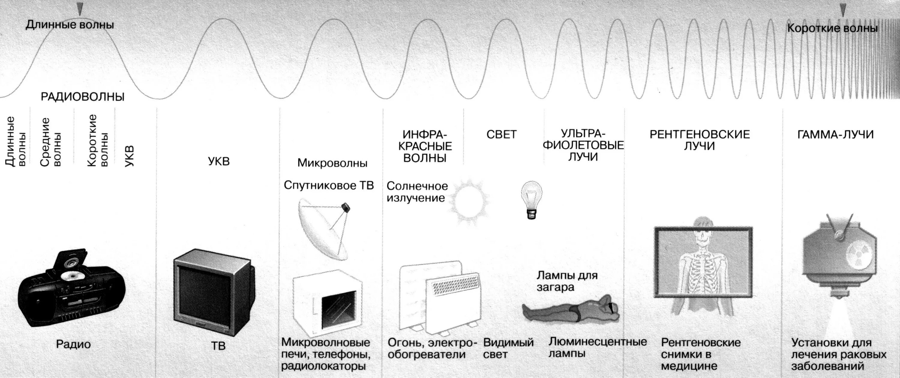 Радиостанция излучает радиоволны частотой 20