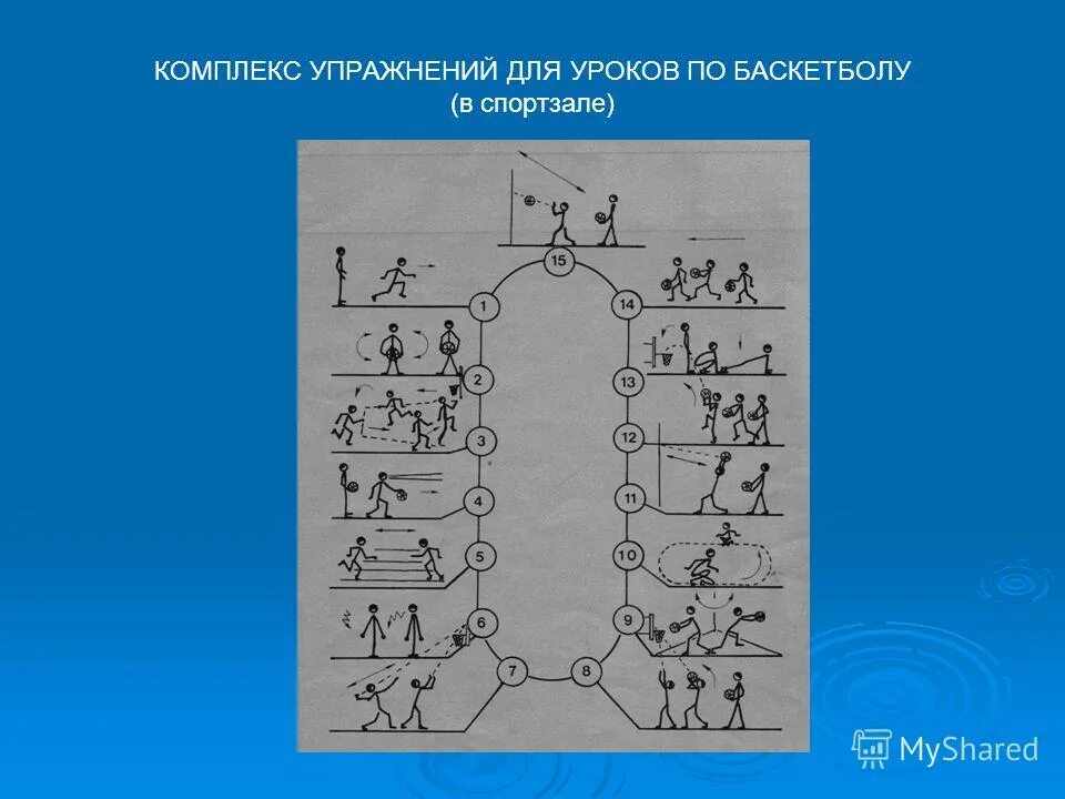 Кольцевой комплекс. Круговая тренировка баскетбол упражнения. Круговая тренировка на уроке баскетбола. Метод круговой тренировки в баскетболе. Комплекс круговой тренировки с баскетбольным мячом.