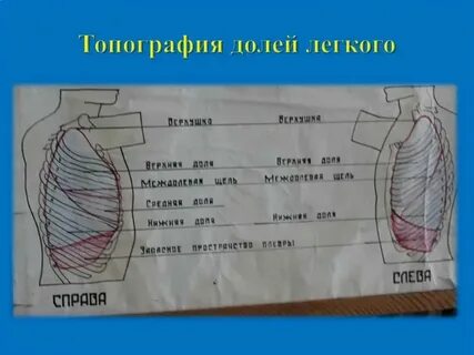 Топография городов