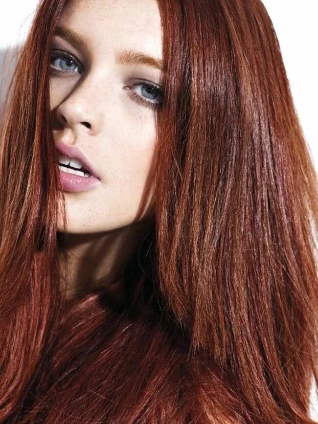 Beautiful chestnut hair color photo