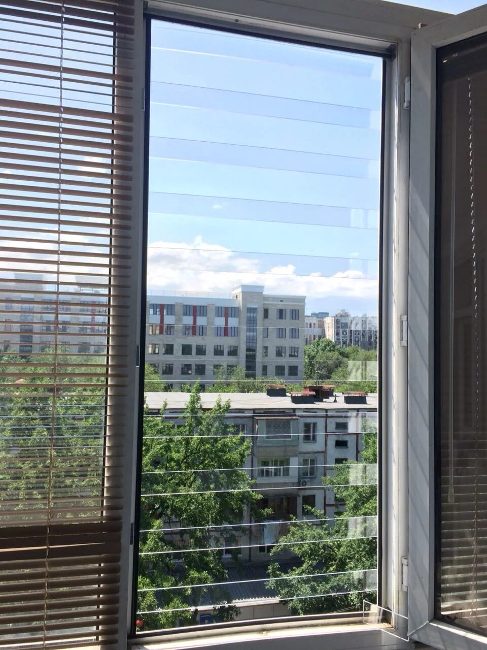 Прозрачная защита на окна. Прозрачные решетки polyprotect прозрачные поликарбонатные решётки. Прозрачные решетки на окна polyprotect. Прозрачные решетки. Решетки из поликарбоната.