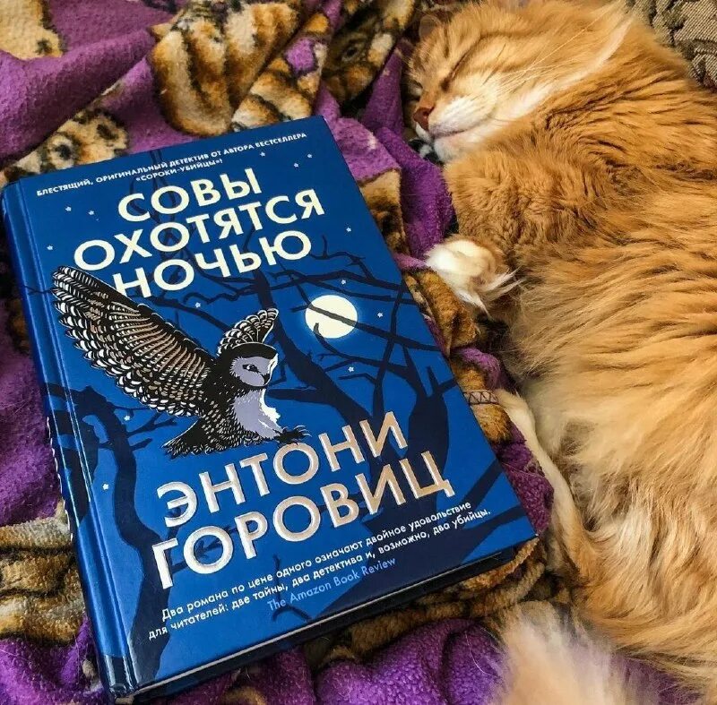 совы охотятся ночью книга