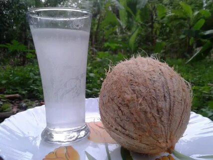 Кокосовая пальма вода