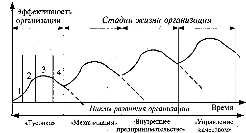 Модель Емельянова и Поварницыной жизненного цикла. Модель жизненного цикла организации (Емельянов и Поварницына. Стадии развития жизненного цикла организации. Жизненный цикл организации тусовка механизация.