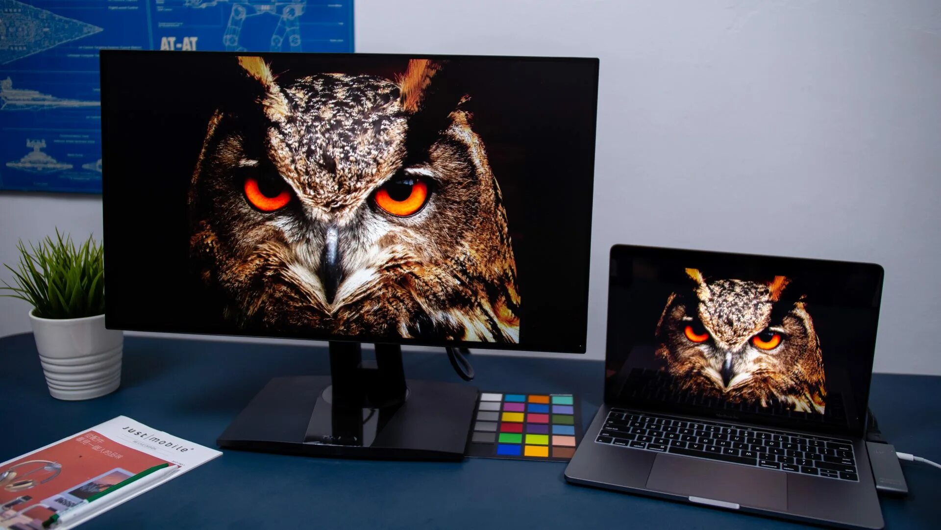 Монитор dell ultrawide. Монитор с большим экраном для стриминга. Good monitors for visual stimul psychology. Good monitors for visual stimul psychology. Мониторы в медицине.