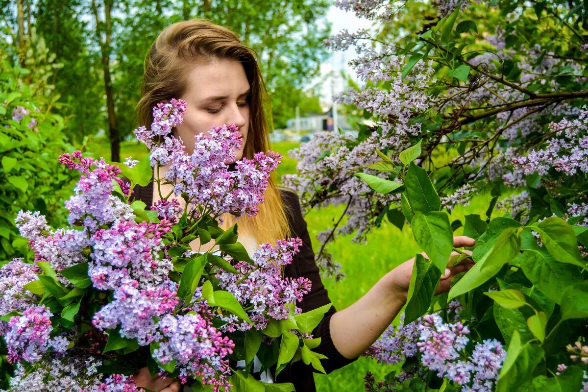 Песня цветущий май. Девушка в цветущем саду. Фотосессия в сирени. Цветущий май. Девушка с сиренью.