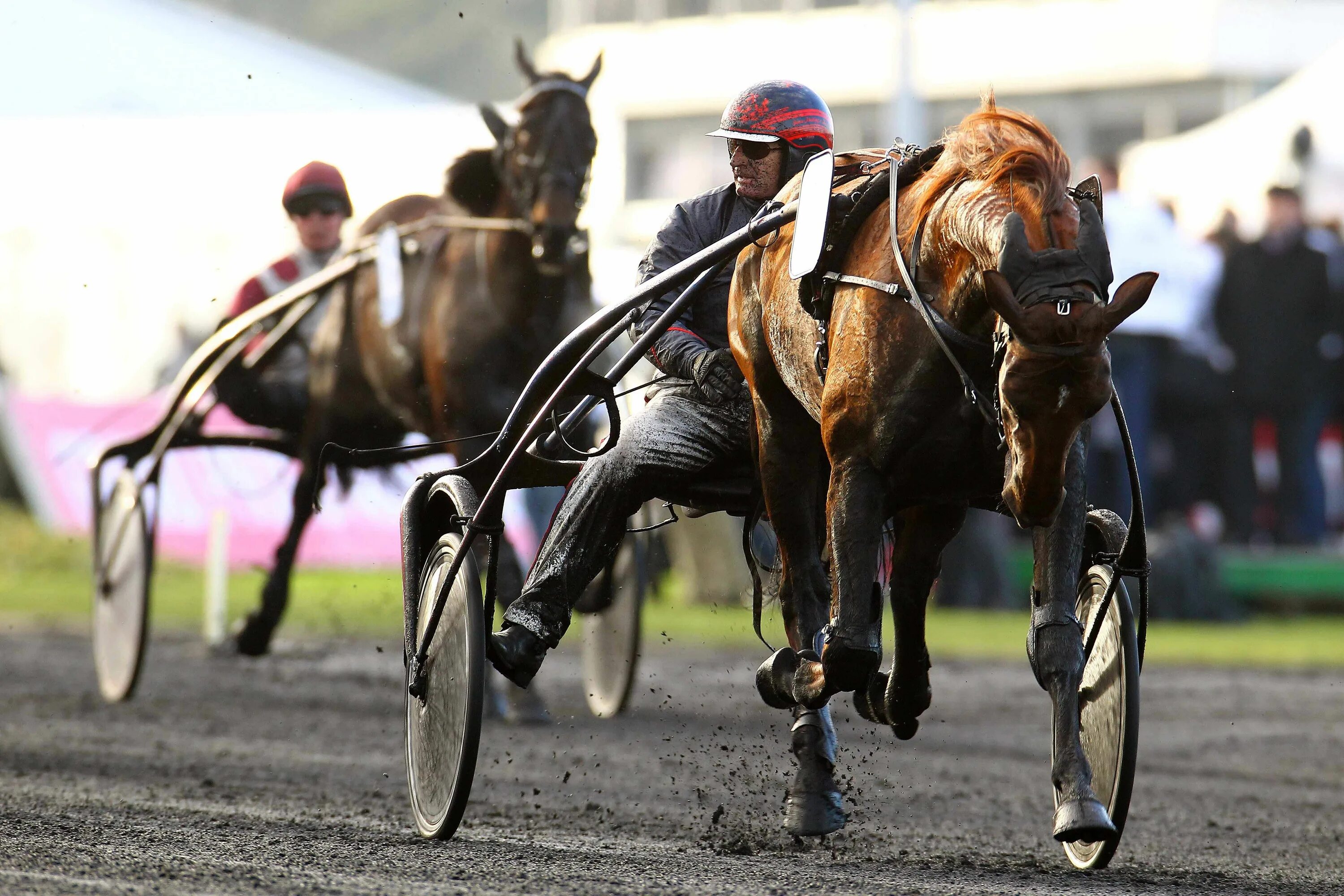 Лошадиные бега. Бега. «grand prix de paris» {конный спорт}. конный спорт рысистые бега. бегущая лошадь на скачках. бег лошадей.